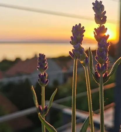 Fantastic View To Lake Balaton Fonyód